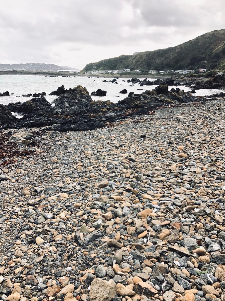 Rocky shore at Wellington, New Zealand
