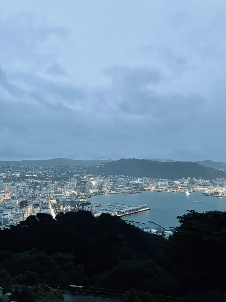 View of city at night in Wellington, New Zealand
