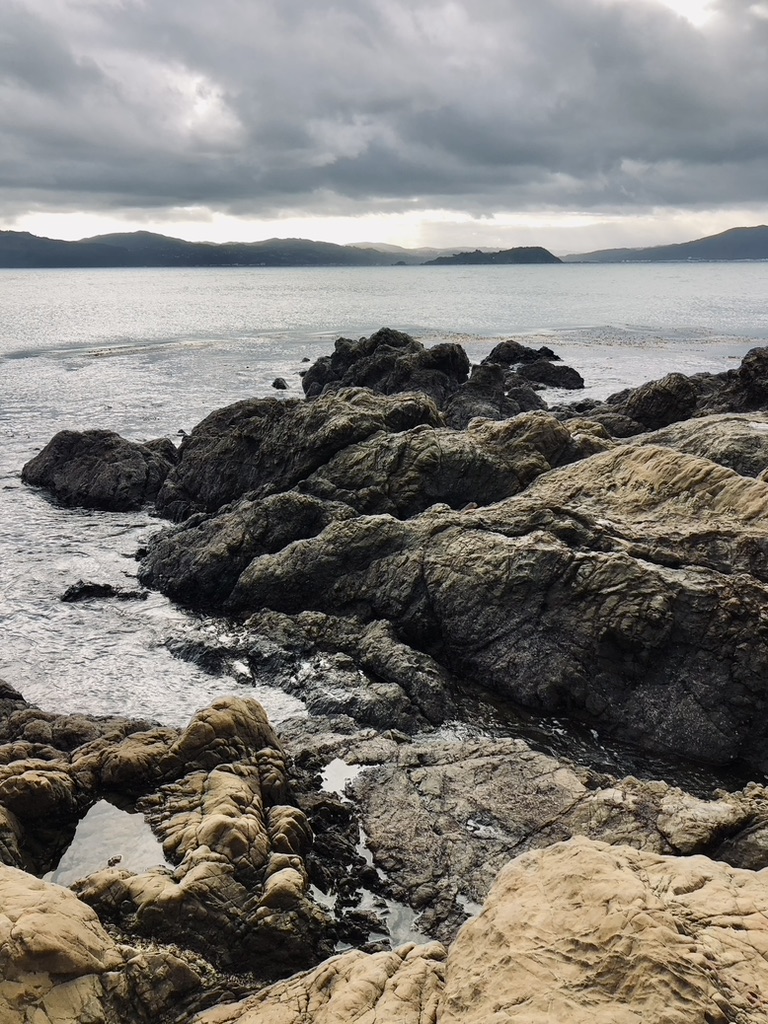 Rocky coastline and ocean at Wellington, New Zealand