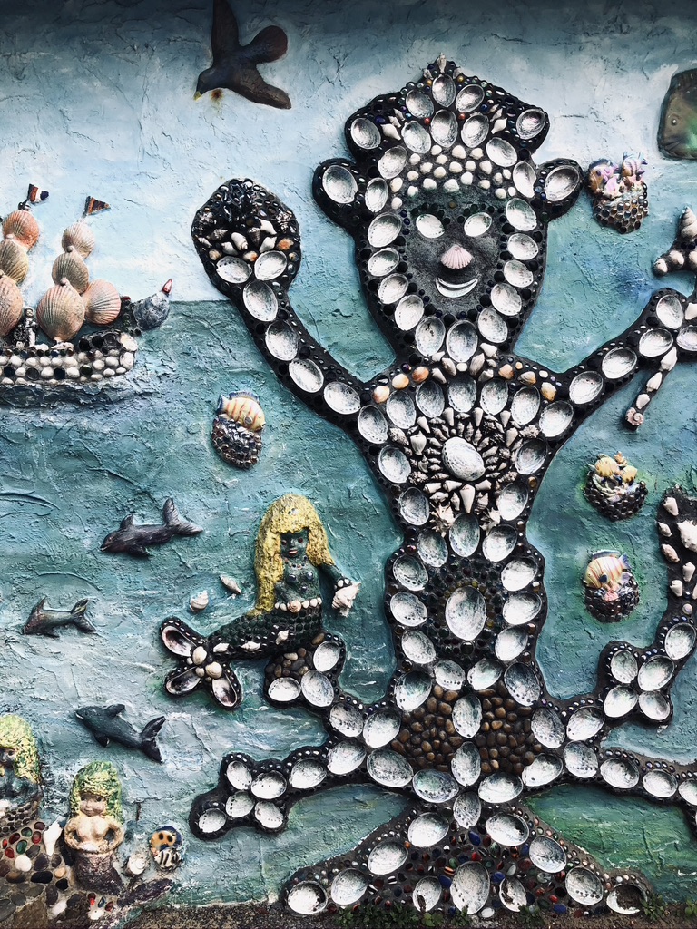 Shell wall art in Wellington, New Zealand