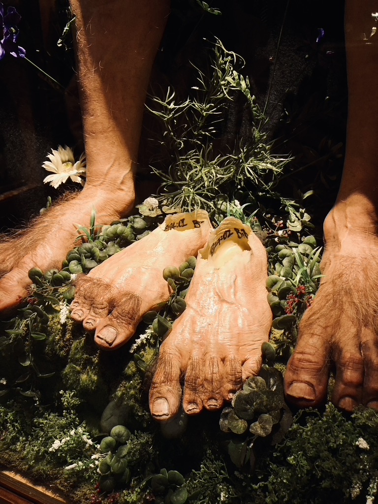 Hobbit feet props at Weta Workshop in Wellington, New Zealand