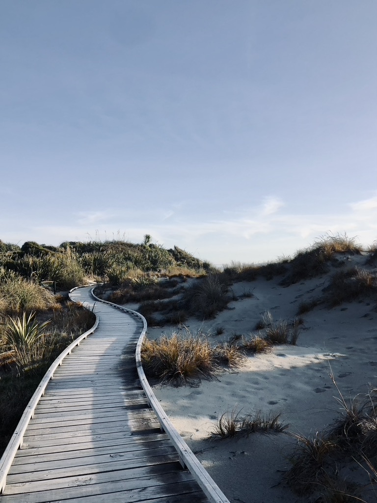 White boardwalk along sand and grass on a sunny day in New Zealand