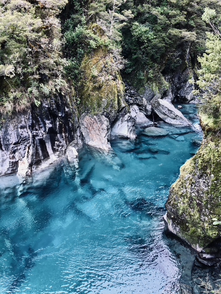 Aqua blue water with rocks and trees in New Zealand