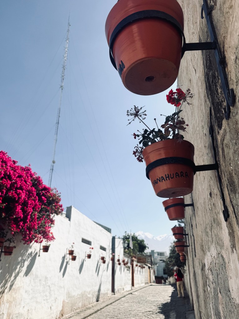 Cute street with pot plants in Yanahuara in Arequipa, Peru