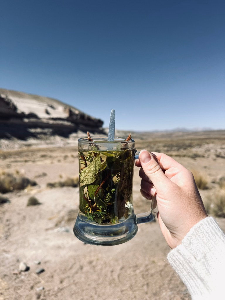 Hand holding glass mug of coca tea with desert in background on the way to Colca Canyon, Peru