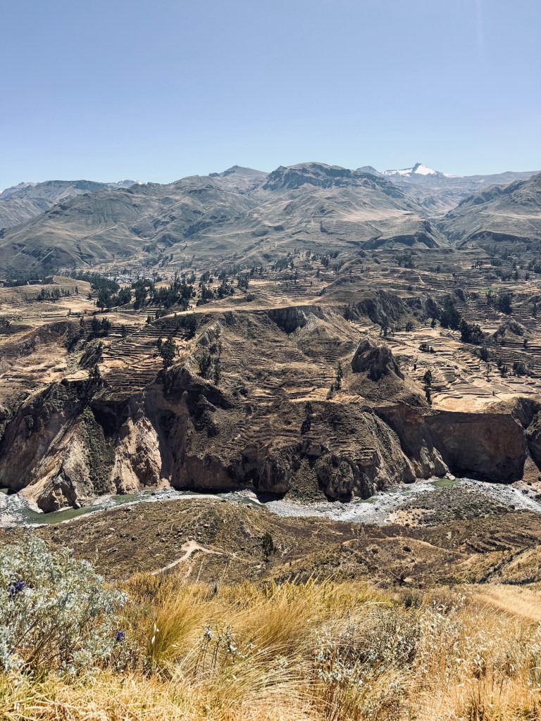 Farming layers in mountains in Colca Canyon, Peru