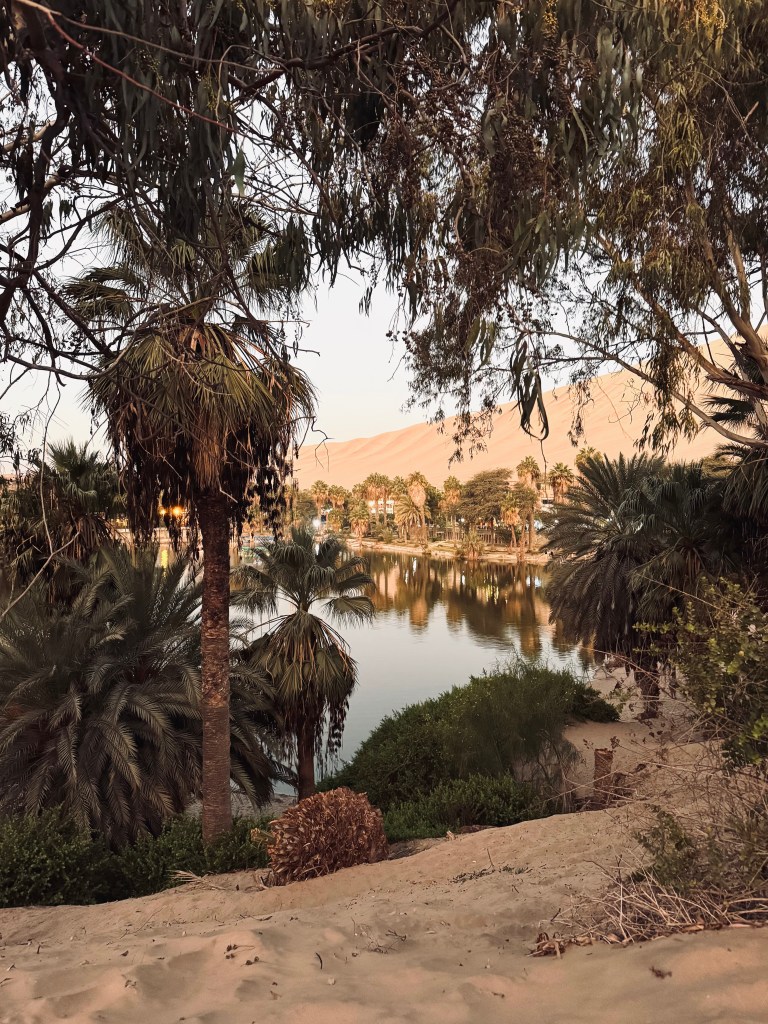 Desert oasis with palm trees in Huacachina, Peru
