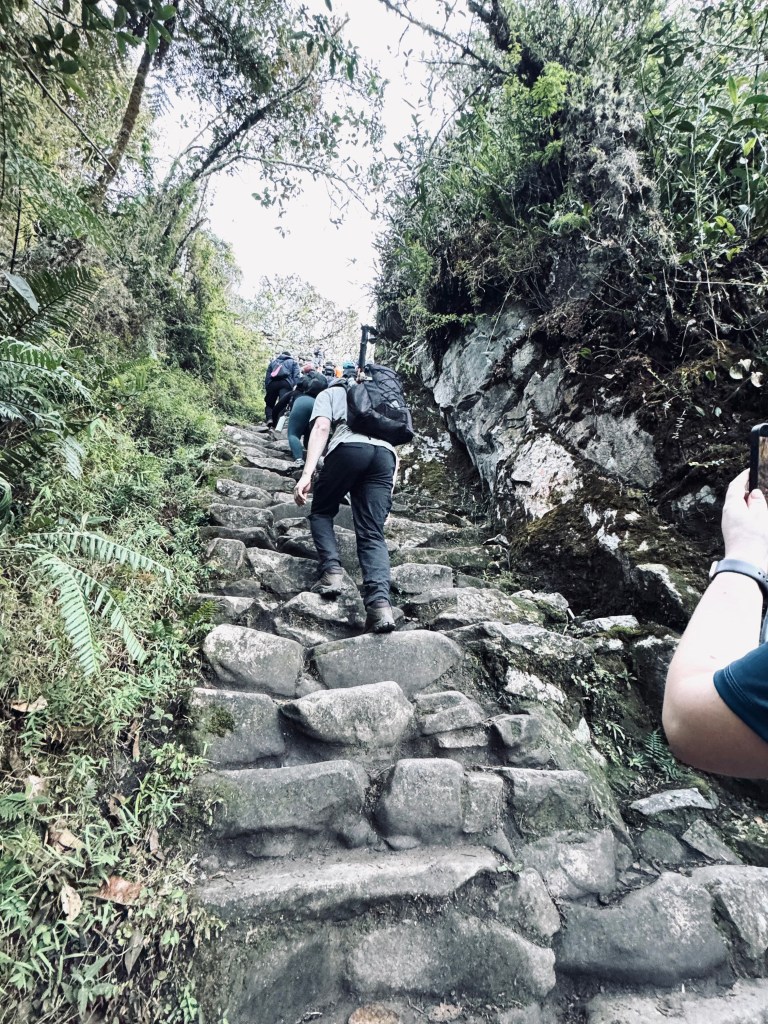 Monkey steps (steep stone steps at the end of the Inca Trail) in Peru