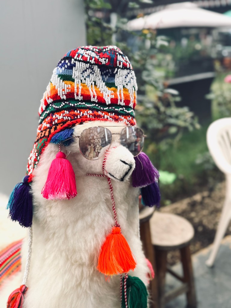 Plush llama with sunglasses and colorful beanie in the markets in Miraflores, Lima, Peru