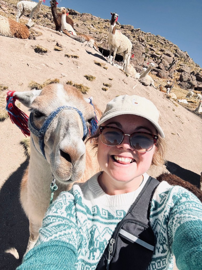Girl in llama sweater smiling taking a selfie with a llama in Peru