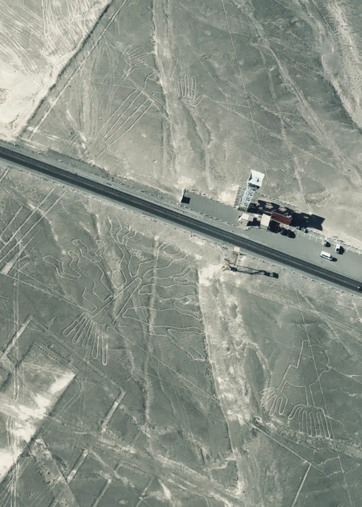 Nazca Lines formation of 'The Lizard' and 'The Tree' from a flight tour in Nazca, Peru