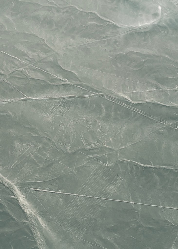 Nazca Lines formation of 'The Monkey' from a flight tour in Nazca, Peru