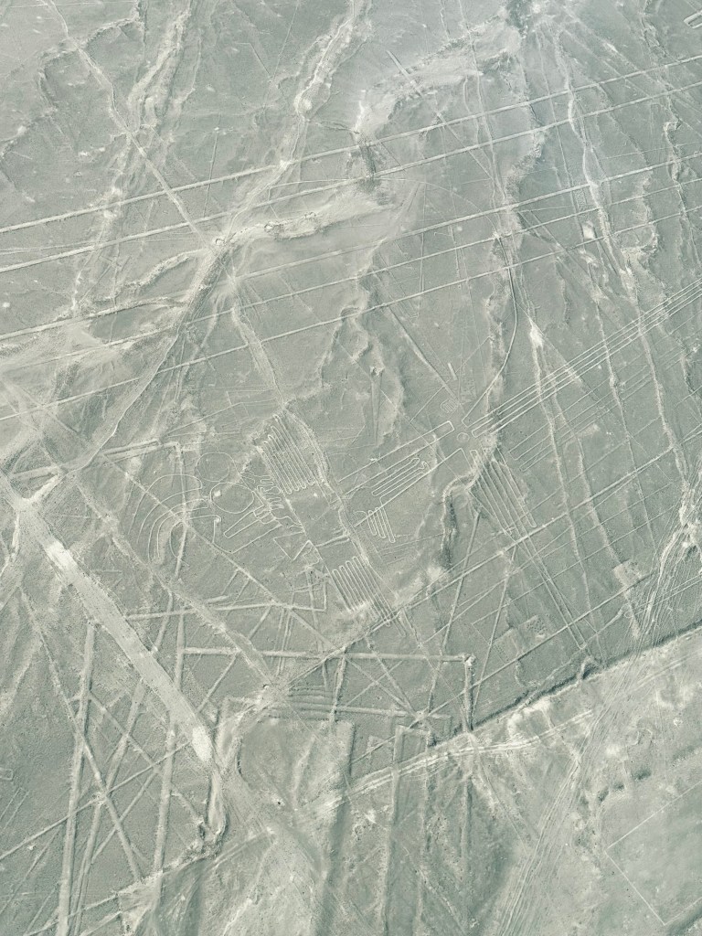 Nazca Lines formation of 'The Pelican' from a flight tour in Nazca, Peru