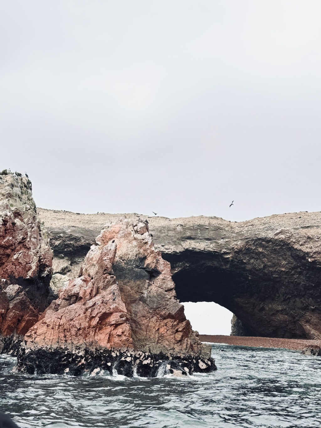 A Guide to the Islas Ballestas Boat Tour in Paracas, Peru (Sea Lions and Dolphins and Birds – Oh&nbsp;My!)