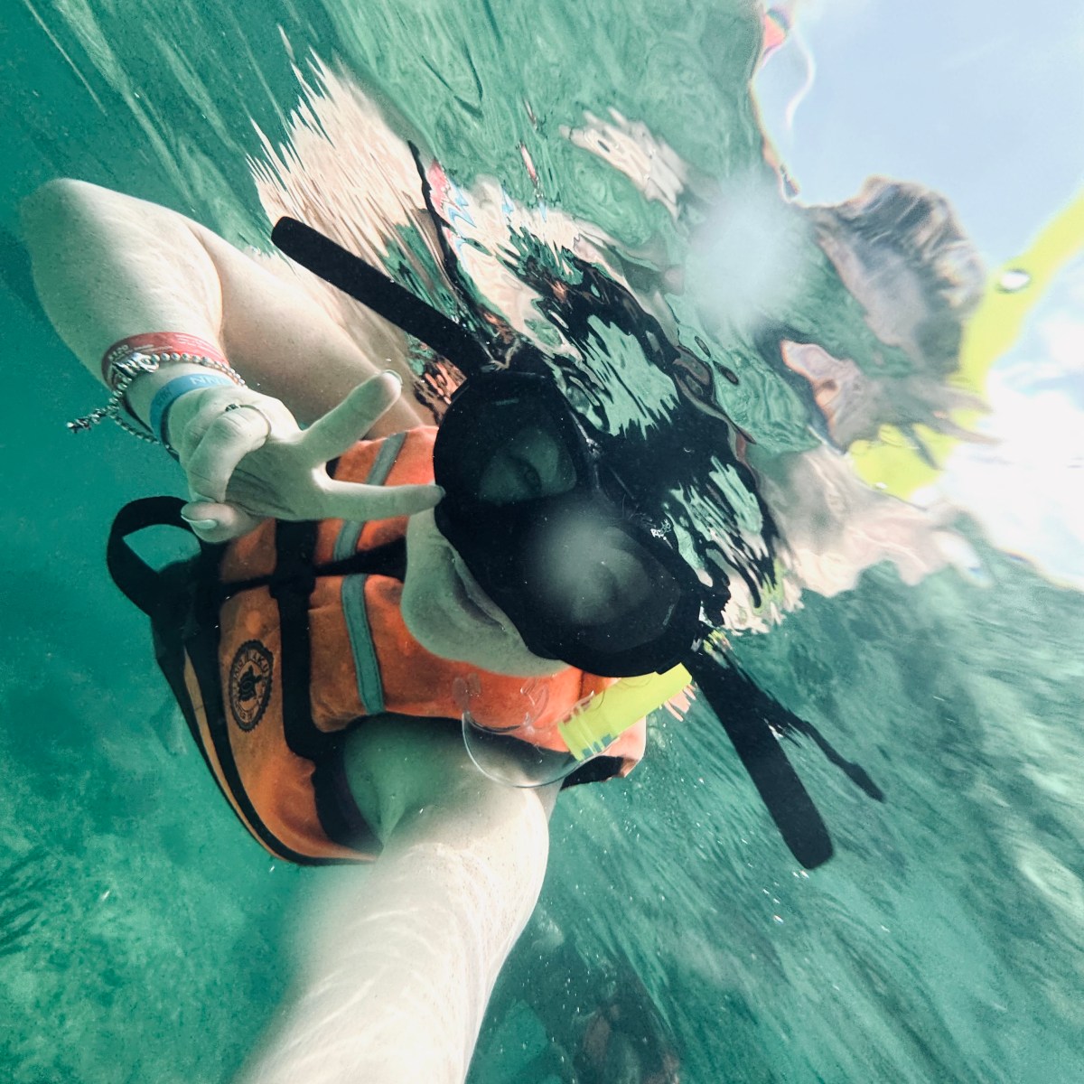 Swimming with Turtles in Akumal Bay: An Amazing Day Trip from Playa del Carmen or&nbsp;Tulum