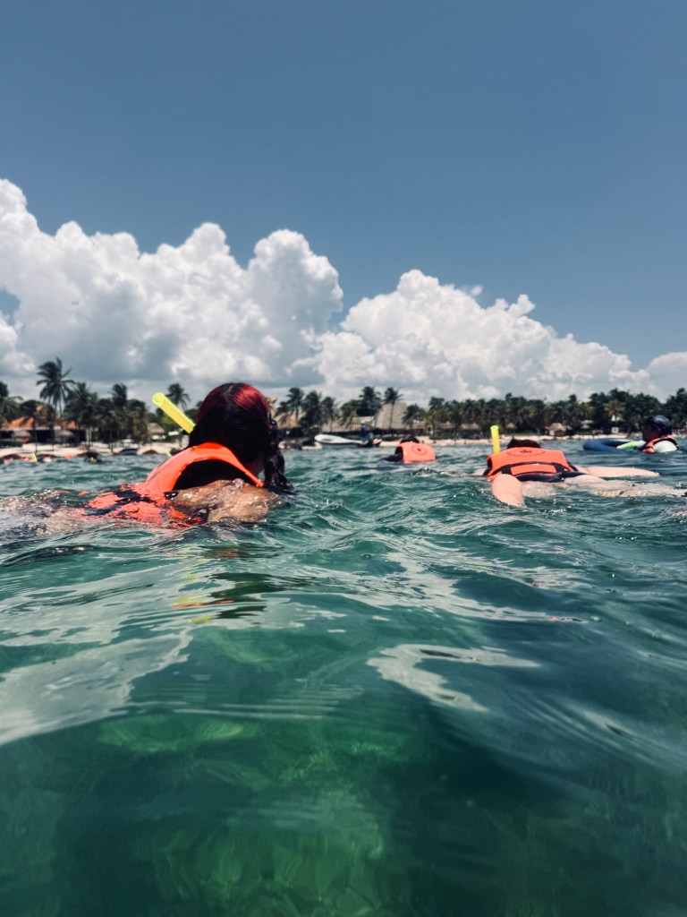 Turtle tour group snorkelling at Akumal Beach in Mexico