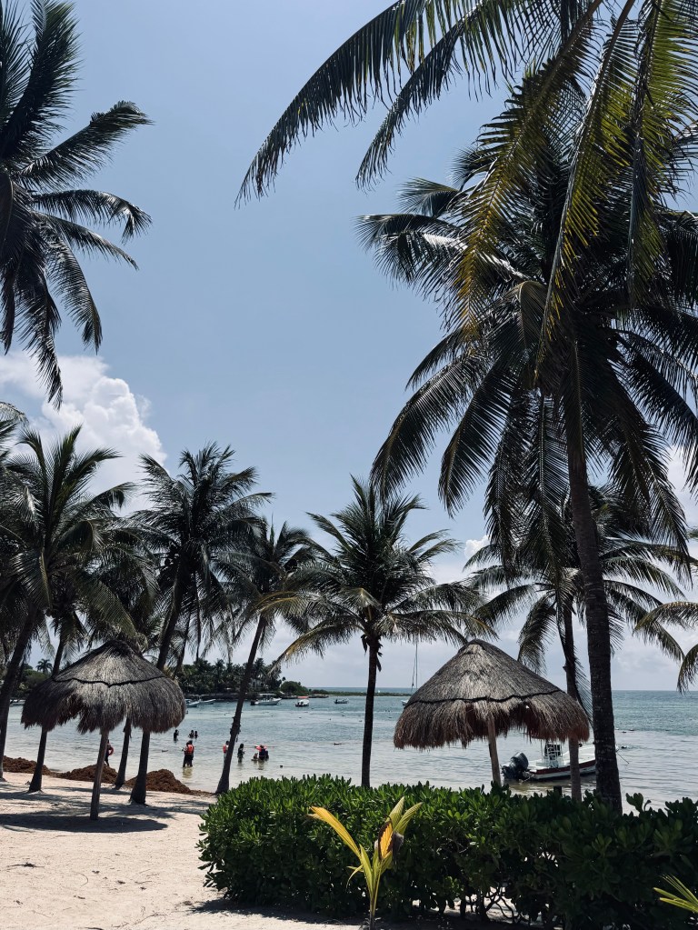 Palm trees and beach at Akumal Beach in Mexico