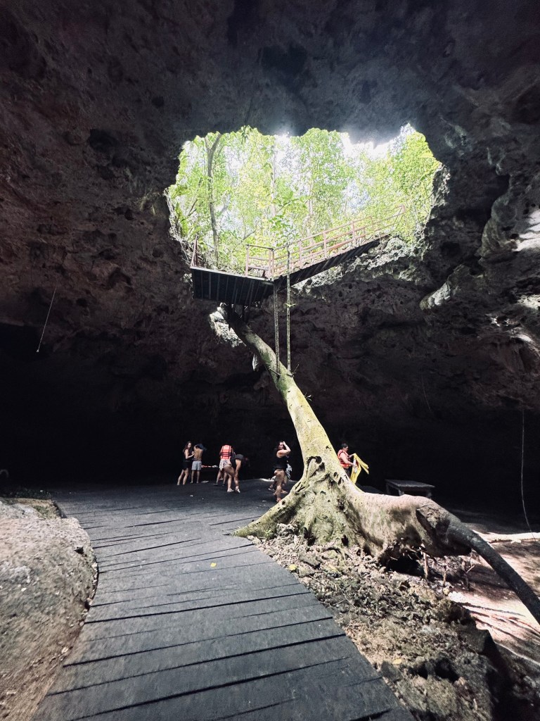 Entrance to cenote with tree and hole above water at Cenote Tak Be Luum, Mexico