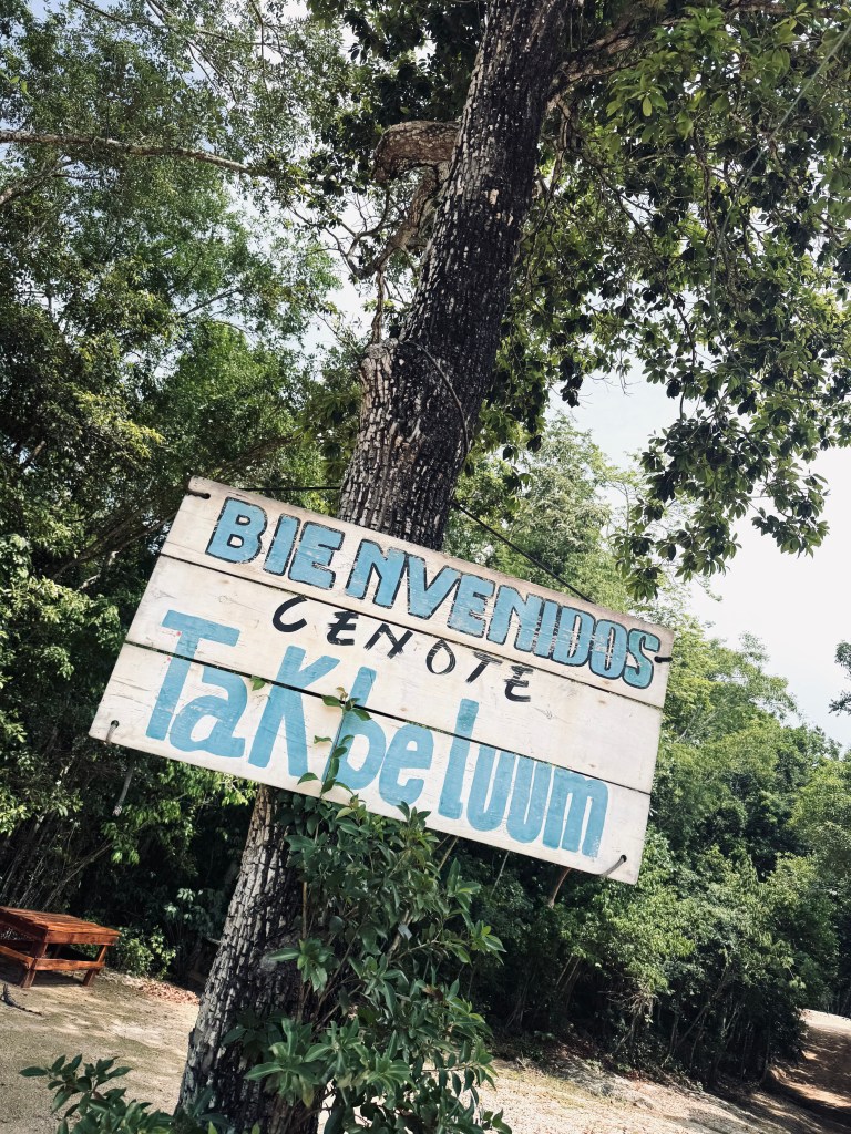 Sign on tree that states "Bienvenidos Cenote Tak Be Luum" in Mexico