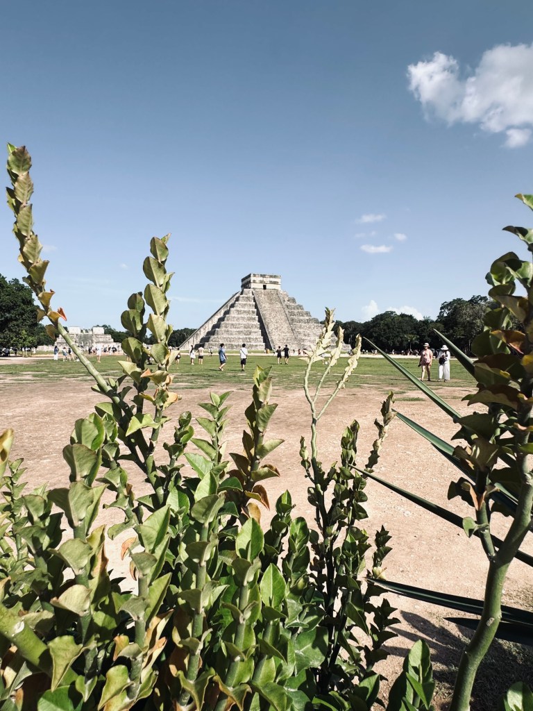 Plants framing pyramid of Chichen Itza, Mexico