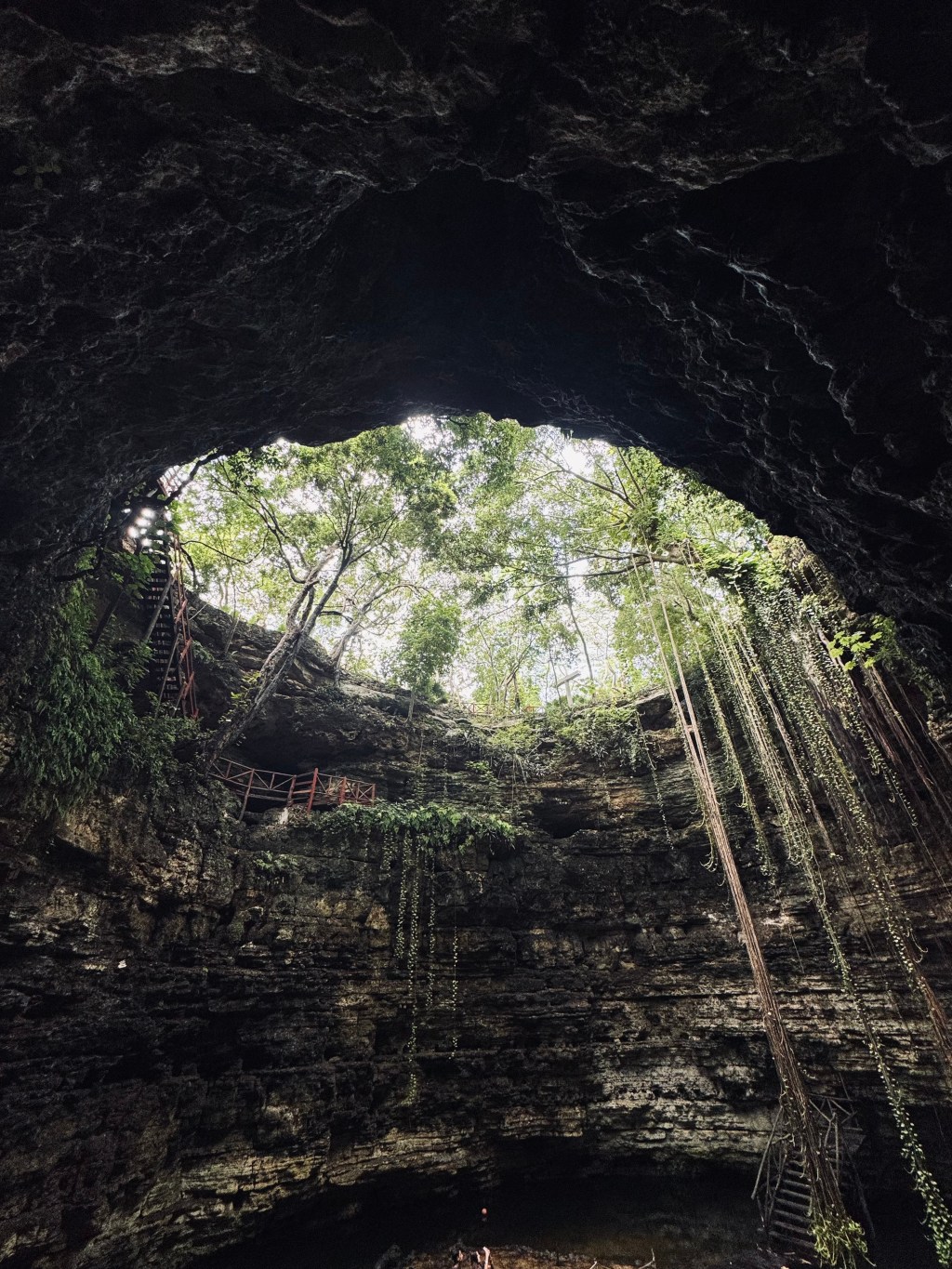 Cave with greenery at Chichikan Cenote sinkhole in Mexico
