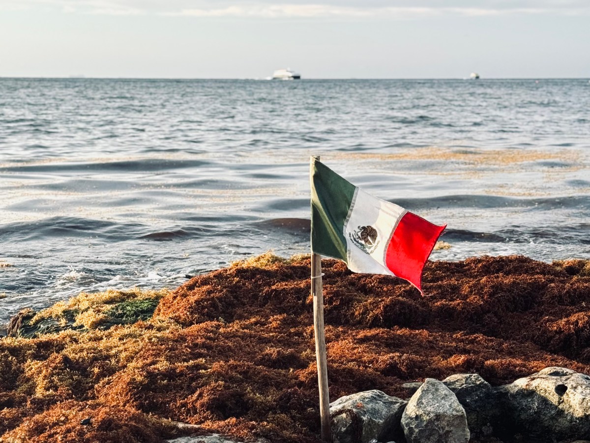 Playa del Carmen, Mexico: Perfect 1-Week&nbsp;Itinerary