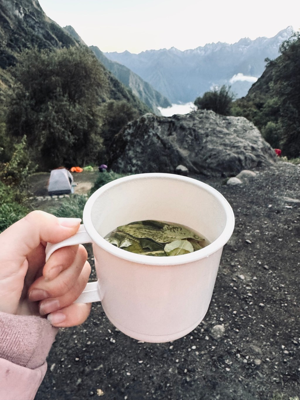 Hand holding coca tea with mountains in the distance on the Inca Trail, Peru