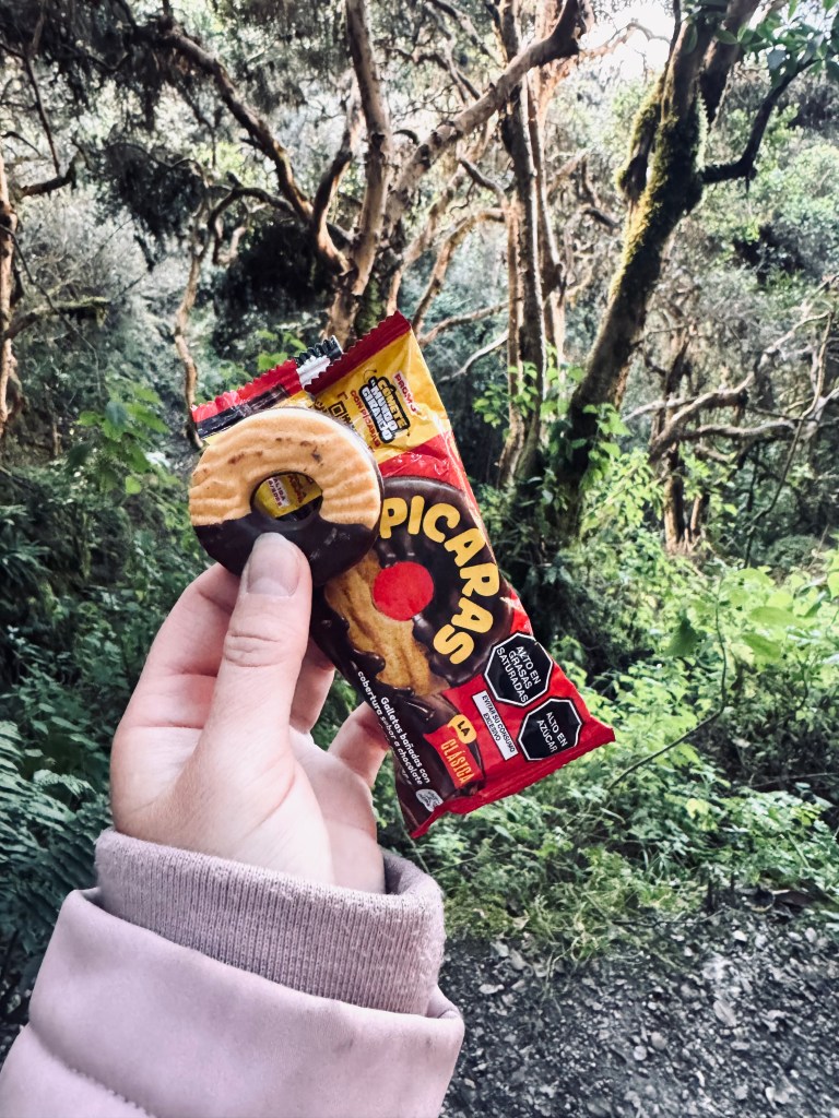 Hand holding picaras biscuit snack on the Inca Trail, Peru