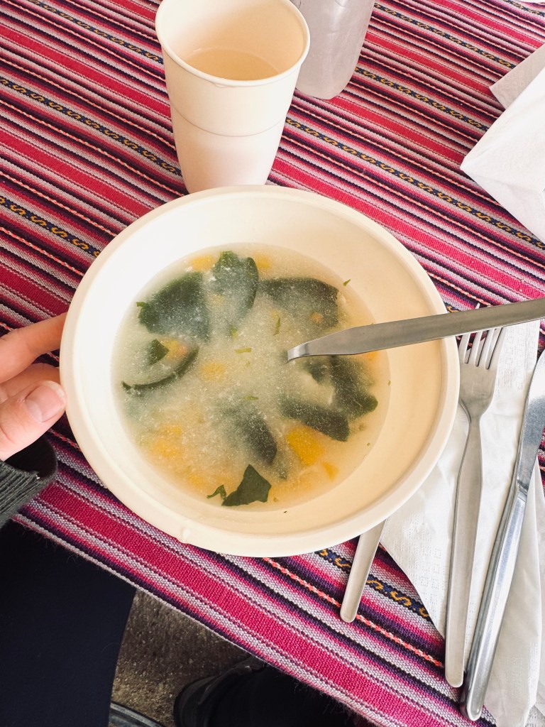 Bowl of soup for lunch on the Inca Trail, Peru