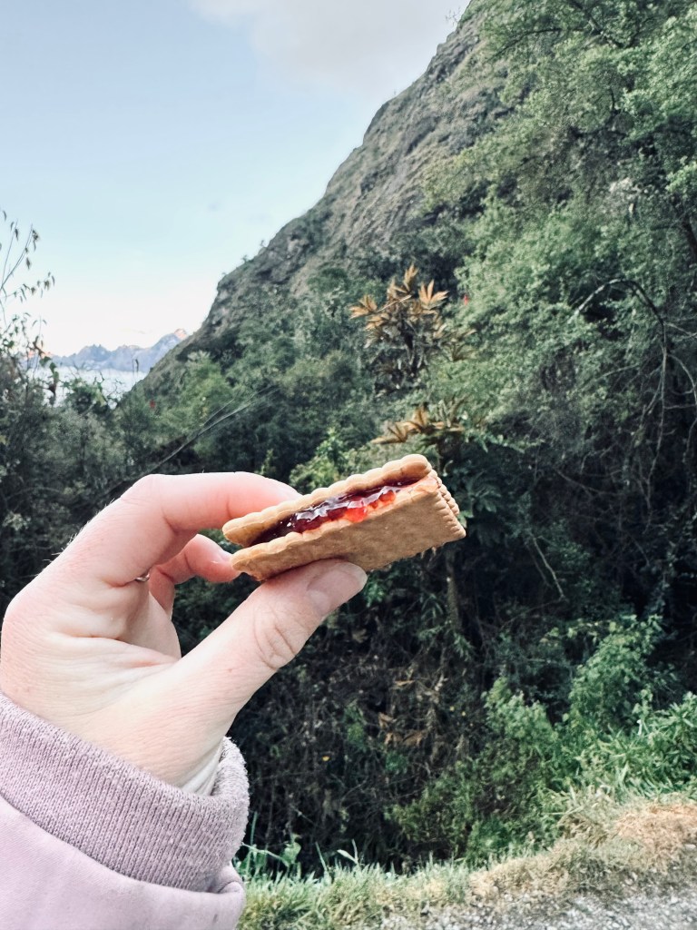 Hand holding jam biscuit for a snack on the Inca Trail, Peru