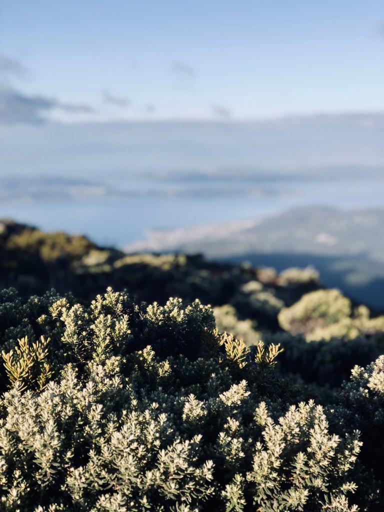 Views of Hobart from lookout at Mt Wellington, Tasmania