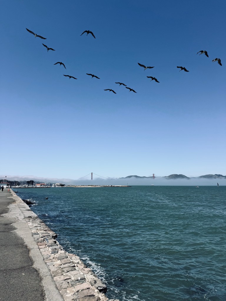 View of Golden Gate Bridge with fog in San Fransisco, USA