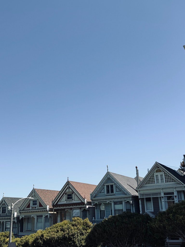 Painted Ladies on a sunny day in San Fransisco, USA