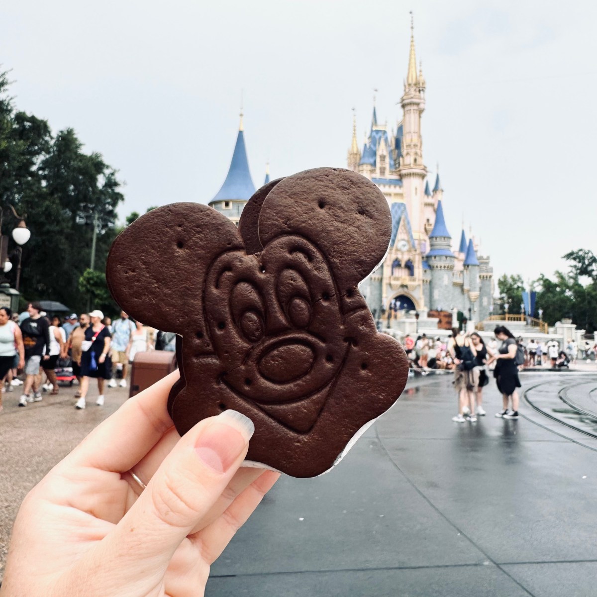 Top 12 Snacks at Magic Kingdom You Have to&nbsp;Try