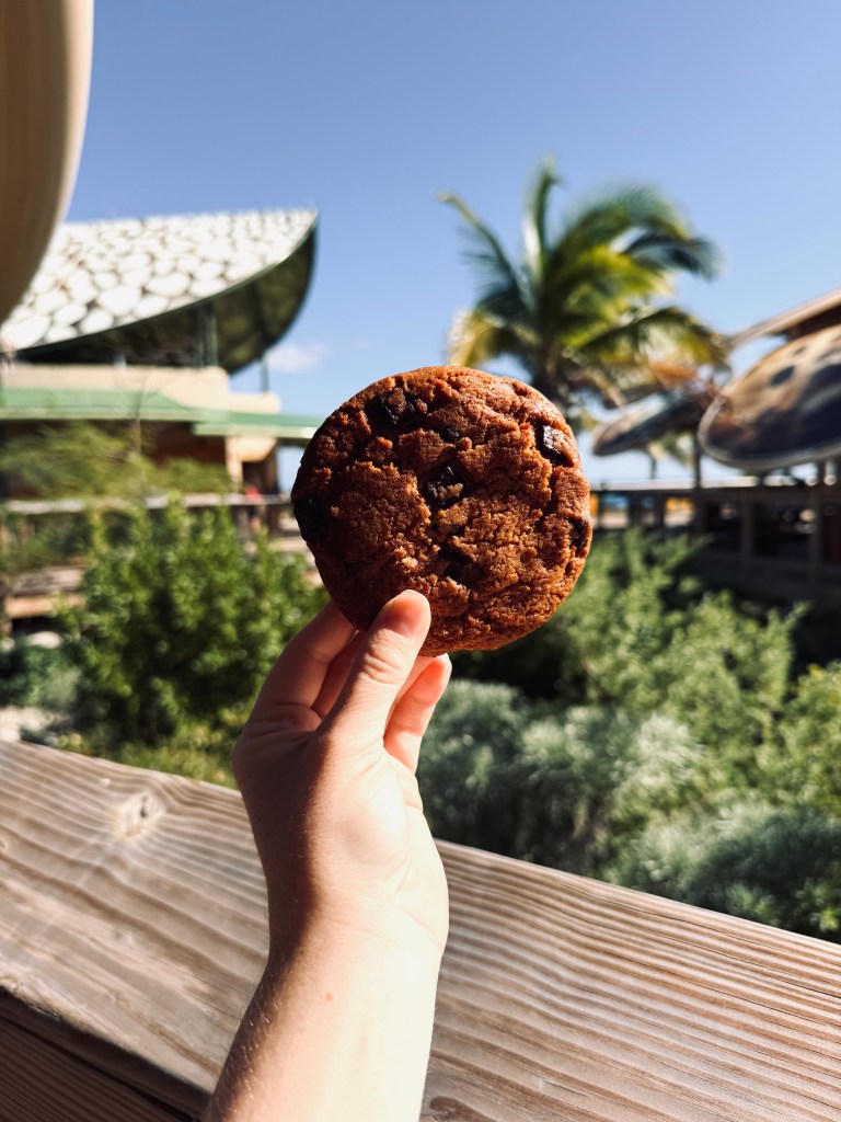 Hand holding chocolate chip cookie at Lookout Cay at Lighthouse Point on a Disney Cruise in the Bahamas