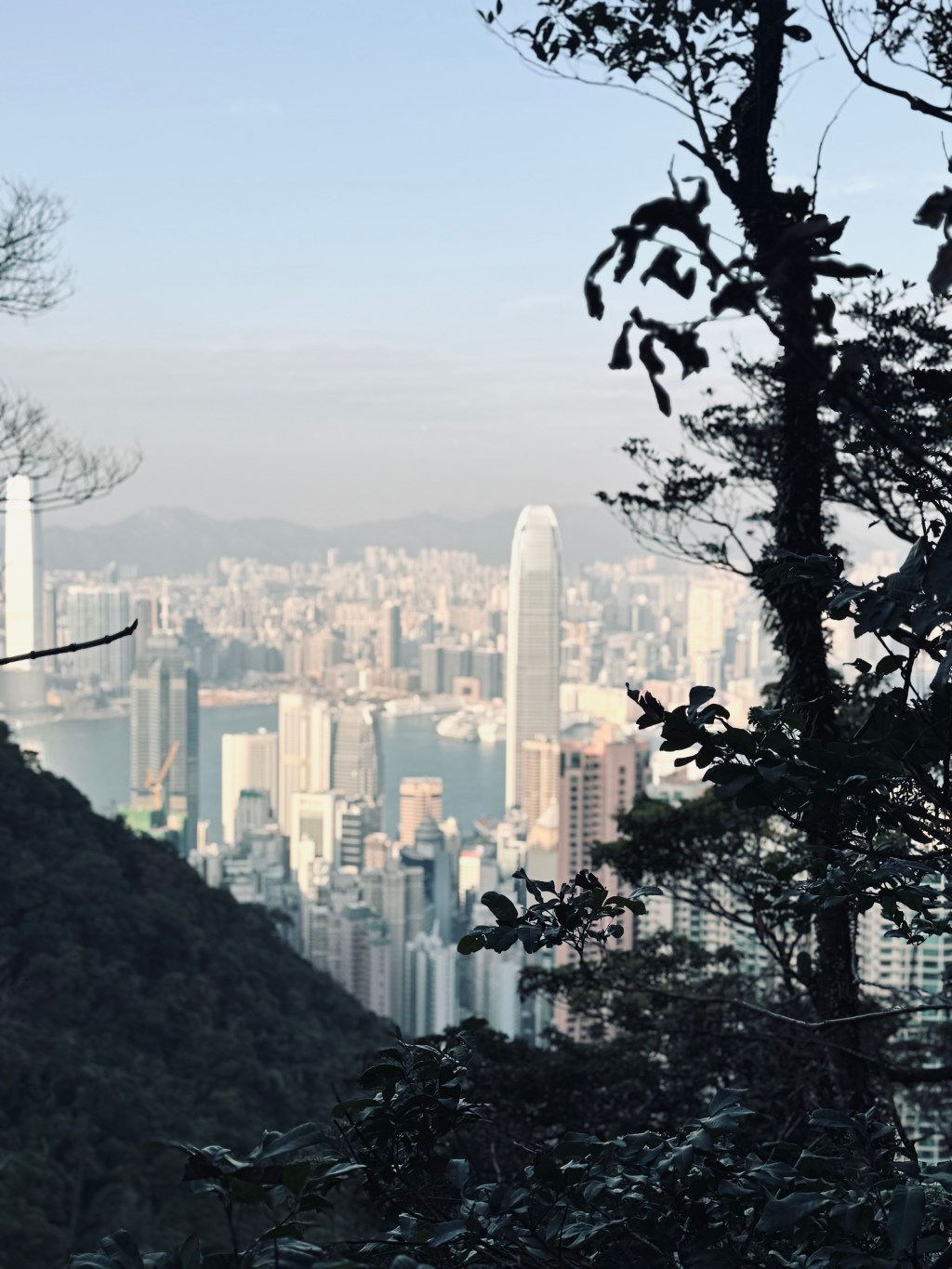 City skyline at golden hour of Hong Kong from Victoria Point