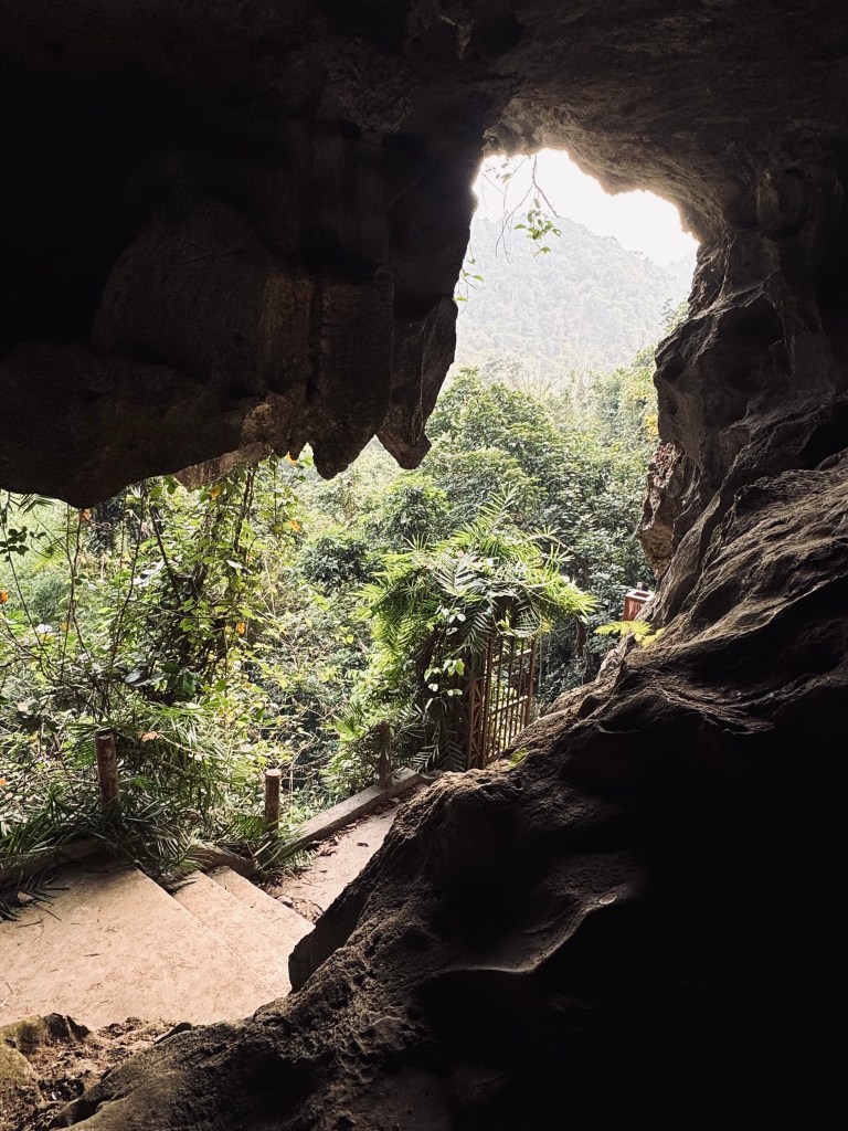 Trung Trang cave with jungle in background on a Halong Bay cruise, Vietnam