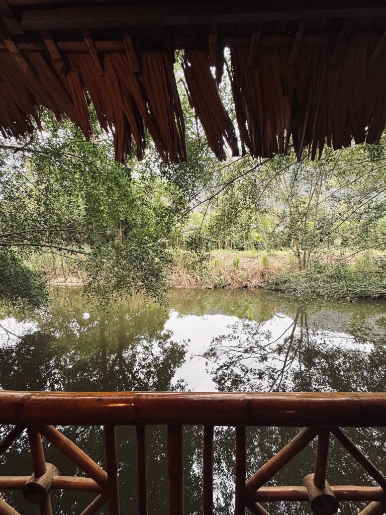 Tree house bungalow with green water views in Ninh Binh, Vietnam