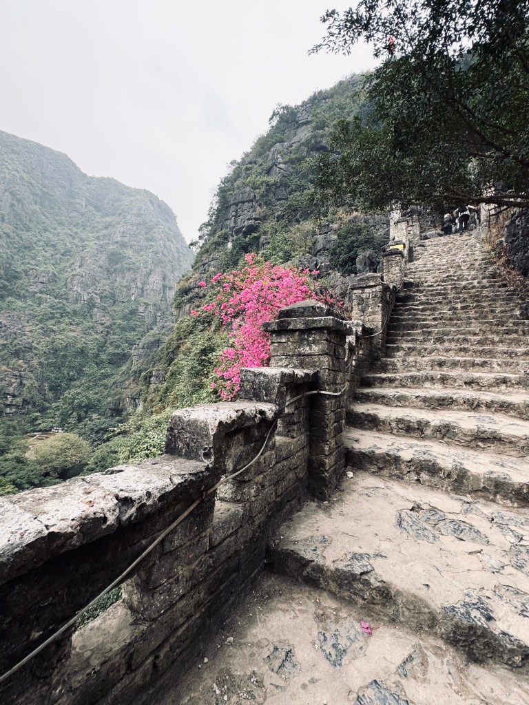 Stone steps leading to the top of Mua Cave in Ninh Binh, Vietnam