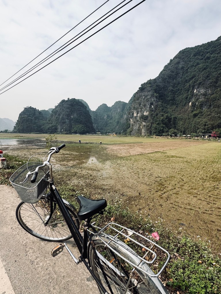 Bicycle parked next to a rice field with mountains in Ninh Binh, Vietnam