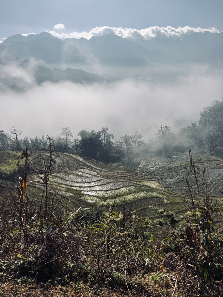 Rice terraces on a trekking tour in Sapa, Vietnam