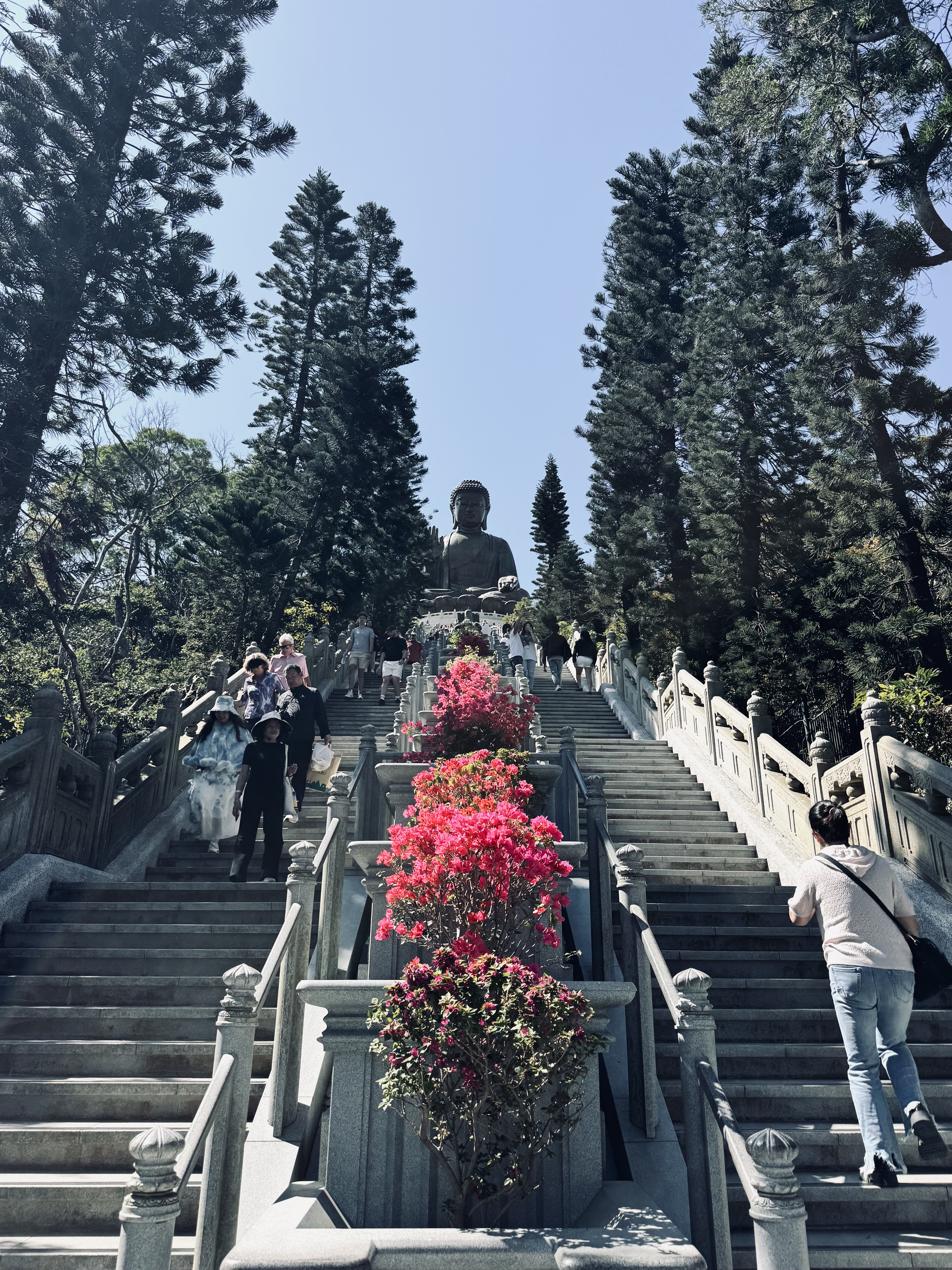 Top 10 Things to Do in Hong Kong: A First-Timer’s Guide